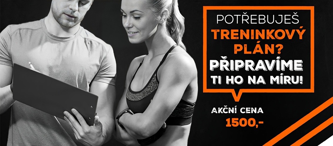 home fitness plzen treninkovy plan